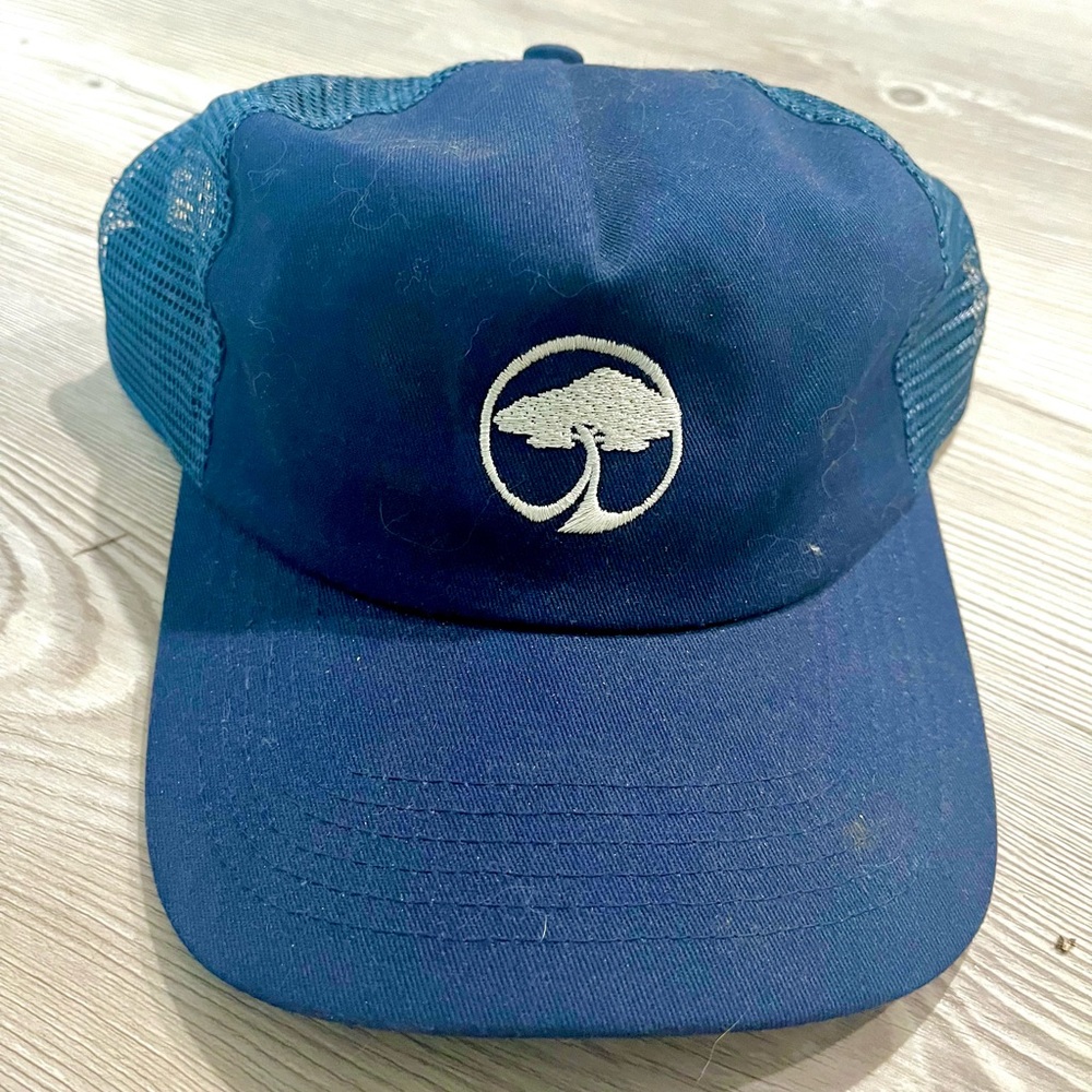 Arbor Snowboards Hat